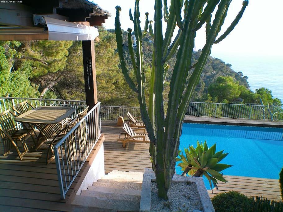 Terraza Al Mar Hotel Balcon del Mar Exterior photo